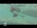 Fishing in the Andros Islands