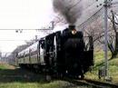 C58363　パレオエクスプレス　秩父鉄道　（ひろせ野鳥の森-大麻生）