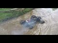 savage x extremely deep mudding savage x extremely deep mudding