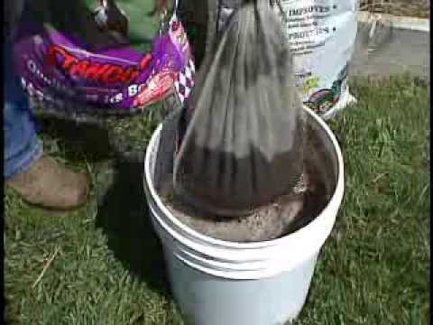 how to fertilize alfalfa