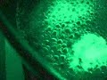 Life On Earth2 __________ 20 light years away