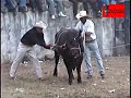 JARIPEO EN LA CAÑADA