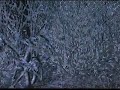 Ghillied - 1