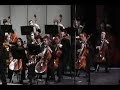 Danse Bacchanale