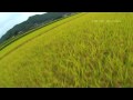 -AUTUMN HARVEST-  SONY HDR-CX500 + T-REX SWAN 700E HD RC Flight