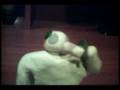 Phone fight 