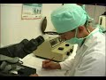 Bacteriologia UDES