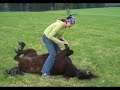 Horsemanship