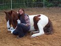 Horsemanship