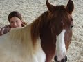 Horsemanship