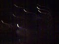 نيسان كمبوشي الكاربيتر ف استراليا..