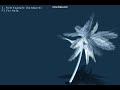 Ageia Softbodies Ageia Softbodies