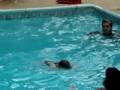 helen swims