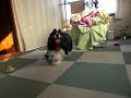 ルンルン葉月たん♪