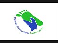 reflexologia podal:sistema nervioso/organos de los sentidos