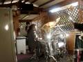 fellshot- aborted (backyard sesh)