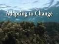 Overview of the Nguna-Pele Marine Protected Area