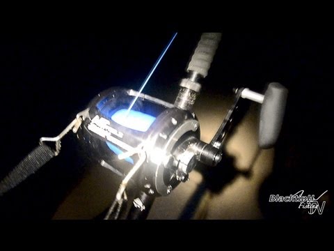 Avet 80w Getting Smoked!