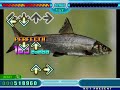 Stepmania - 2kg Siika
