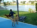 Marco, Lanty & Nala