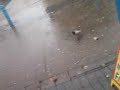 The rain will kill us all. The rain will kill us all.