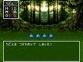 ドラゴンクエスト3 戦闘時65535ターン経過で疲れきってしまう