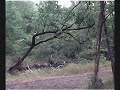 Hiking Trinity Trail, a north Texas journey