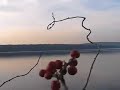 Quabbin Reservoir Quabbin Reservoir