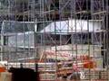 EXPO ZARAGOZA 2008. Obras del Pabellón de Aragón