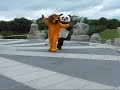 Panda & Lion fight