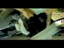 Spider-Man - Banned 2001 WTC Trailer - Thumb #2