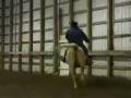 videos de JNDS INVESTIN ADREAM - AQHA APHA PALOMINO ALL AROUND USING GELDING- PART 1 OF 2 VIDEO