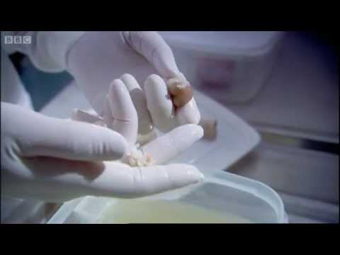 how to dissolve tissue