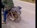 danu cu susuka