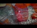 017.MOV