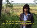 PUEDES DESCARGAR EL VIDEO desde esta web:http://www.muhammadtube.com/view_video.php?viewkey=c48bc64582cf2bcec3d0---Puedes bajar los videos que quieras, solo necesitas unirte, y es muy facil... La pagina principal es esta: www.muhammadtube.com-----------Todos los días miles de Cristianos son perseguidos por su Fé, cientos son muertos, alrededor de uno cada tres minutos.----Persecusiones de los musulmanes radicales, en la región de Aceh el año pasado, un grupo de radicales prendió fuego una iglesia que estaba ahí hacía 28 años. El pastor y su esposa tuvieron que escapar por la selva para su seguridad, pero a pesar del drama, están listos para volver. El Pastor y su esposa estaban dentro de la iglesia cuando un grupo de musulmanes puso muchos litros de gasolina en el edificio y prendieron fuego.Era casi medianoche cuando 2 camiones y 50 motocicletas llevando a mas de 100 musulmanes rodearon su iglesia, llevando espadas para matar a los cristianos.   Al principio me dije a mi mismo: voy a dejar de compartir la palabra de DIOS. Debo admitir que cuestioné a DIOS cuando nos sucedió eso. Pero ÉL me permitió tener esta increíble experiencia con ÉL. Nosotros no pensamos que sobreviviríamos, pero DIOS milagrosamente nos salvó, y a nuestro bebe también. El pastor y su esposa consiguieron salvarse al escapar y atravezar la jungla corriendo mientras la iglesia se quemaba. Mientras la Iglesia era destruida en Aceh, la congregación continuó teniendo encuentros de rezos en sus casas, mientras esperan la construcción de una nueva iglesia.La policía dijo que la gente se enojará si continuan con la congregación,  Para proteger la vida de las victimas de futuras venganzas, se les cubre el rostro en las entrevistas.