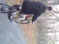 Wheelies