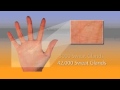 Please click on me to play my video!