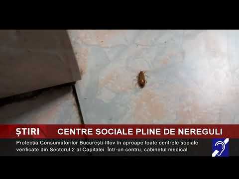 Centre sociale pline de nereguli