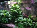 Naturaleza en casa
