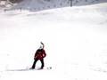 pedregueros a formigal