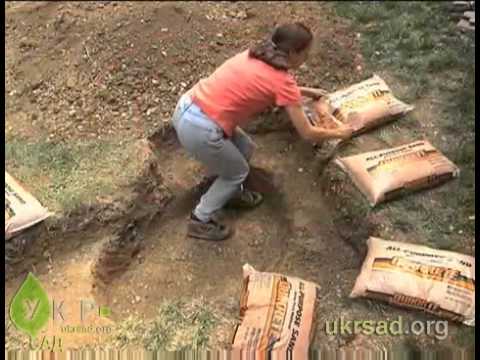 YouTube Трейлер