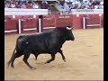Recortes en Torres de la Alameda