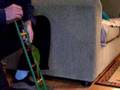 Baby Maroon bellied conure in training