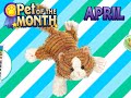 proudly presenting the webkinz alley cat -- april's pet of the month. adopt the large-sized alley cat in april to get a pet of the month loot bag!