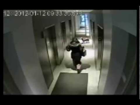 How Scary: Dog On Leash Elevator Surveillance VIDEO