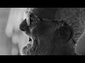 I liked a YouTube video -- Oldest Person in Jaffna Veerakaththi http://youtu.be/dFJSN6d5k_s?a