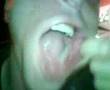 Foto v�deo
