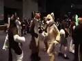Anthrocon 2006 Fursuit Dance pt1