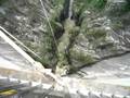 Bungee Jump 007 Goldeneye